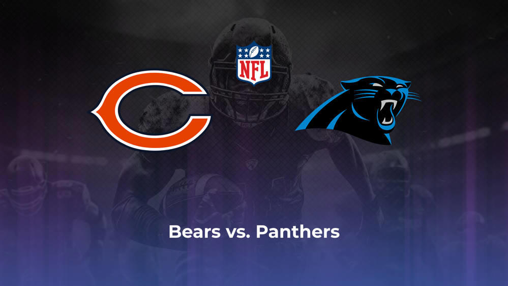 Bet on Bears vs. Panthers in New Jersey: Betting Odds, Line and Spread